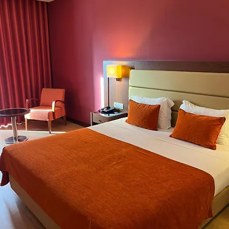 Palace & Termas Do Bicanho Soure