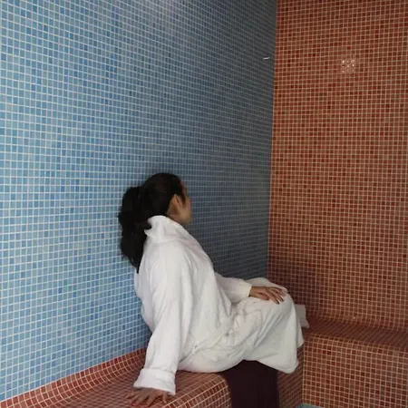 Palace & Termas Do Bicanho 4*