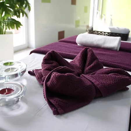 Palace & Termas Do Bicanho Hotel