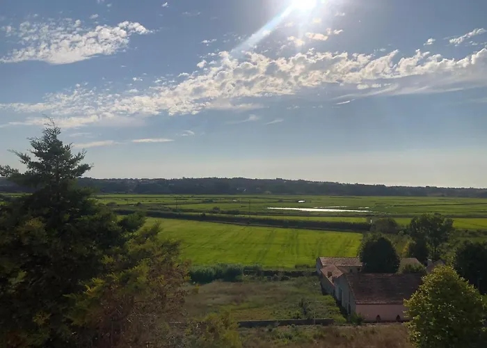 Palace & Termas Do Bicanho Hotel 4*